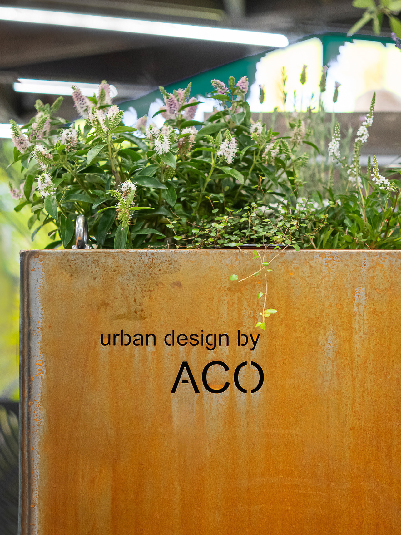 ClimateBoxx slimme boom- en plantenbak