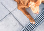 ACO Euroline Galva met rooster uit gegalvaniseerd staal