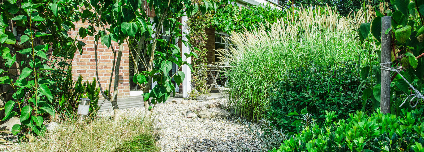 Jardin avec des arbres et des buissons