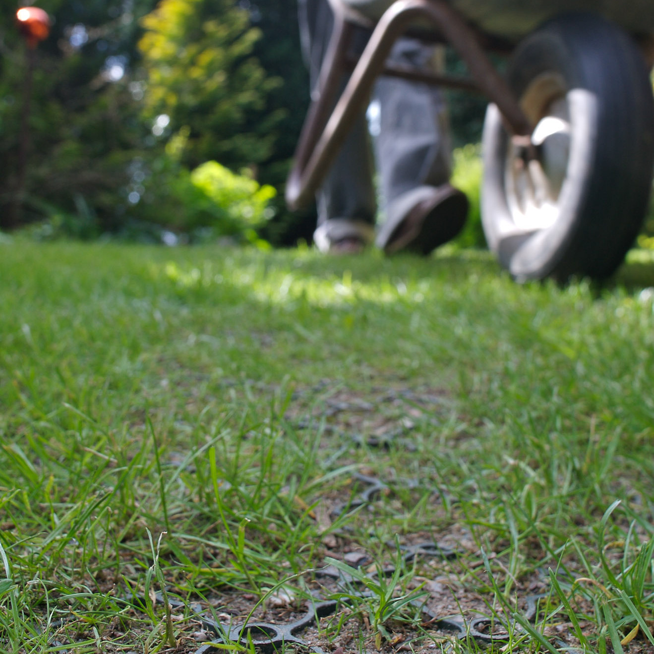 Op zoek naar grasdallen?