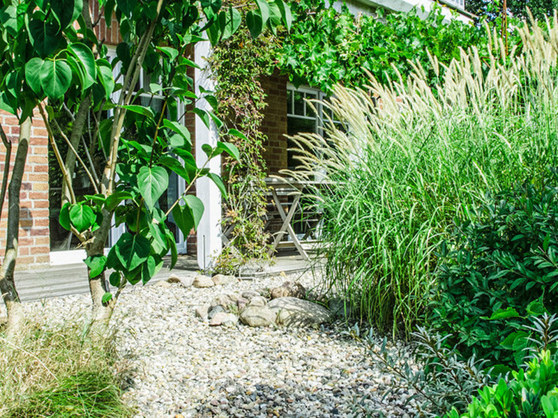 Een tuin die elk klimaat aankan? Met deze 5 tips lukt het