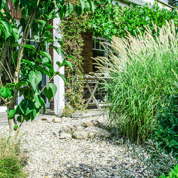 Een tuin die elk klimaat aankan? Met deze 5 tips lukt het
