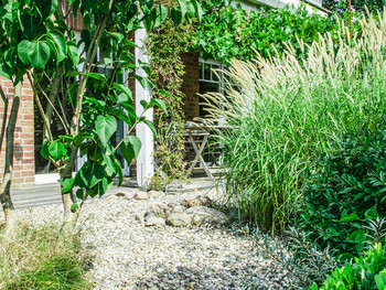 Tuin Klimaat 5 Tips Thumb