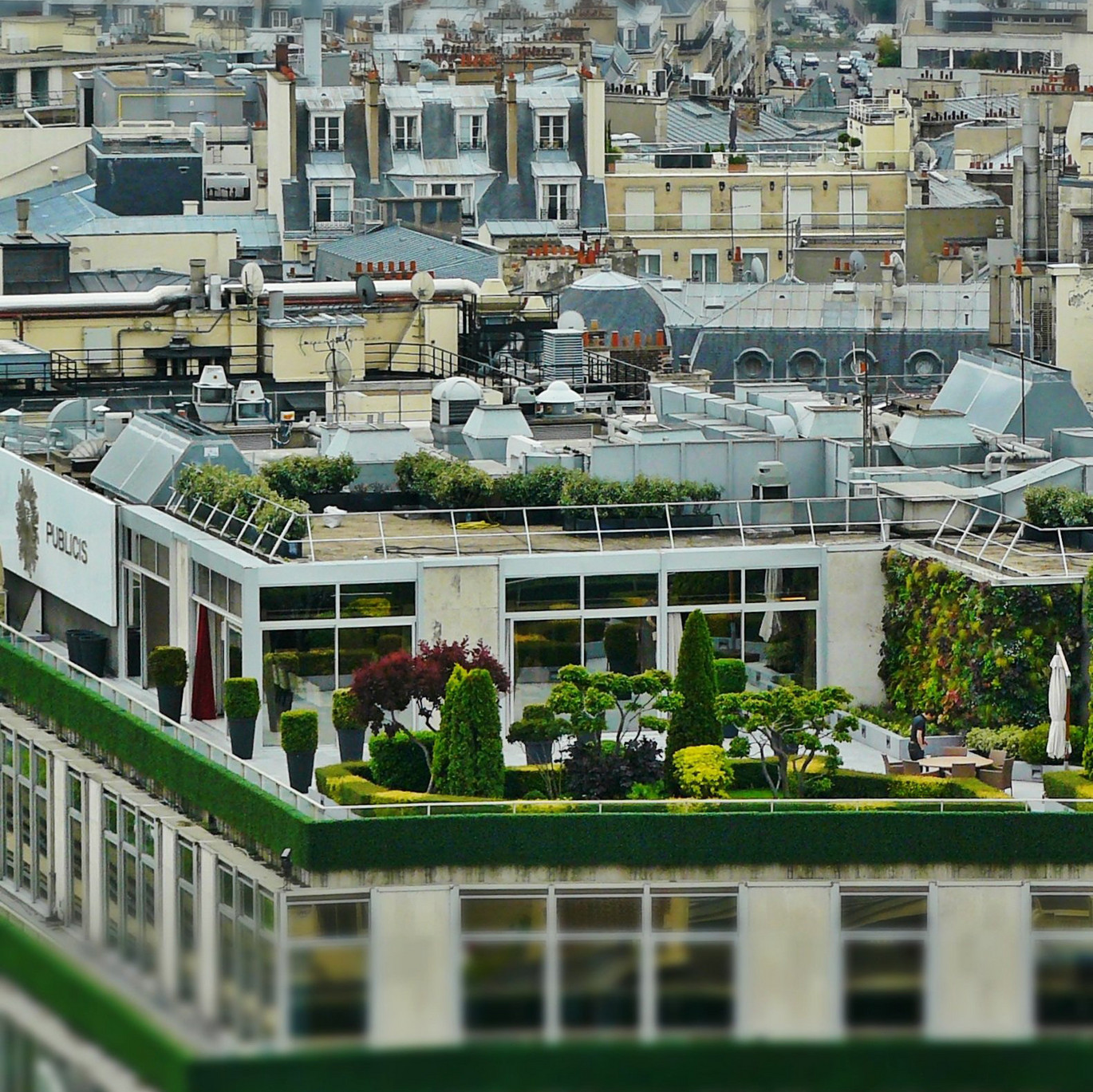 Les jardins sur les toits et les toitures vertes ACO