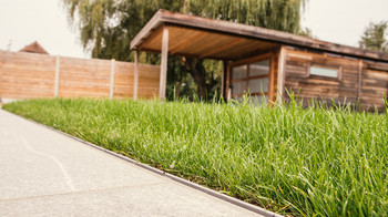 Aco Waar Of Niet Thumb2