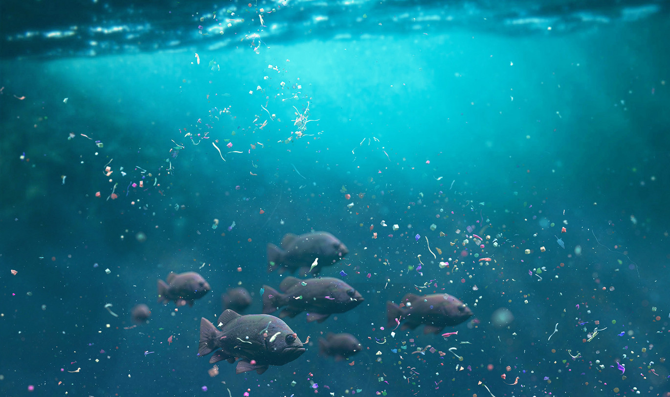 [Translate to Français:] Microplastics in zee