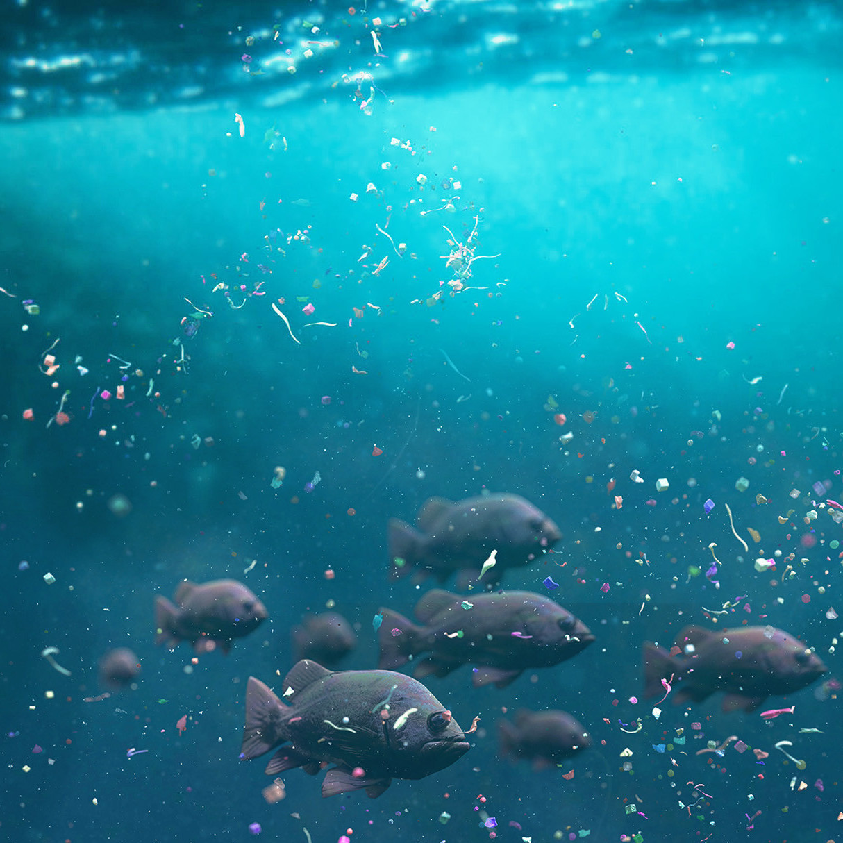 Les microplastiques dans la mer