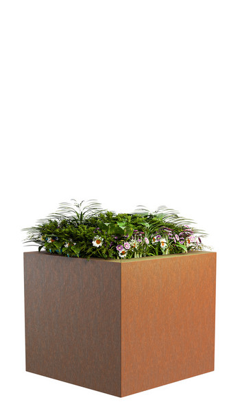 ClimateBoxx Plant