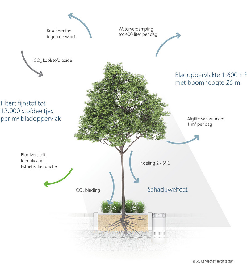 Bomen en hun functies