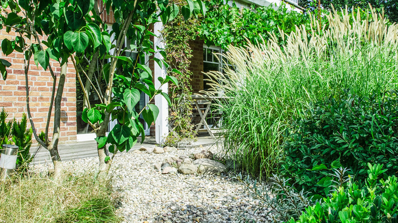 Un jardin adapté à toutes les conditions climatiques ? 5 conseils pour le réaliser !