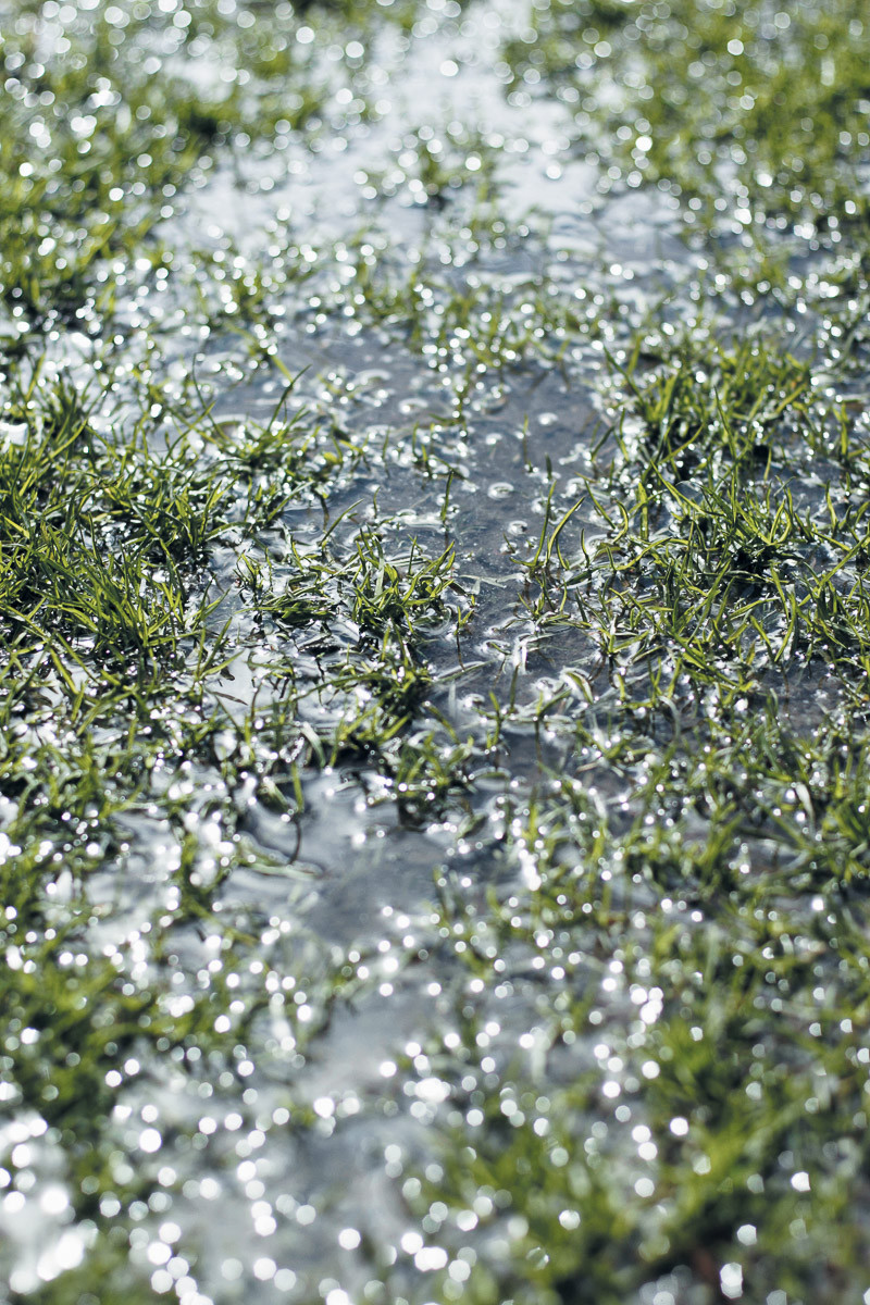 Water in de tuin