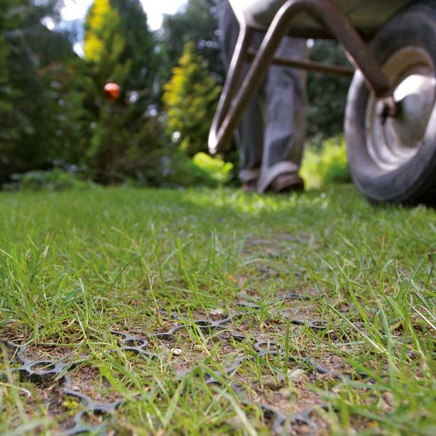 Dalle gazon pour un pelouse carrossable